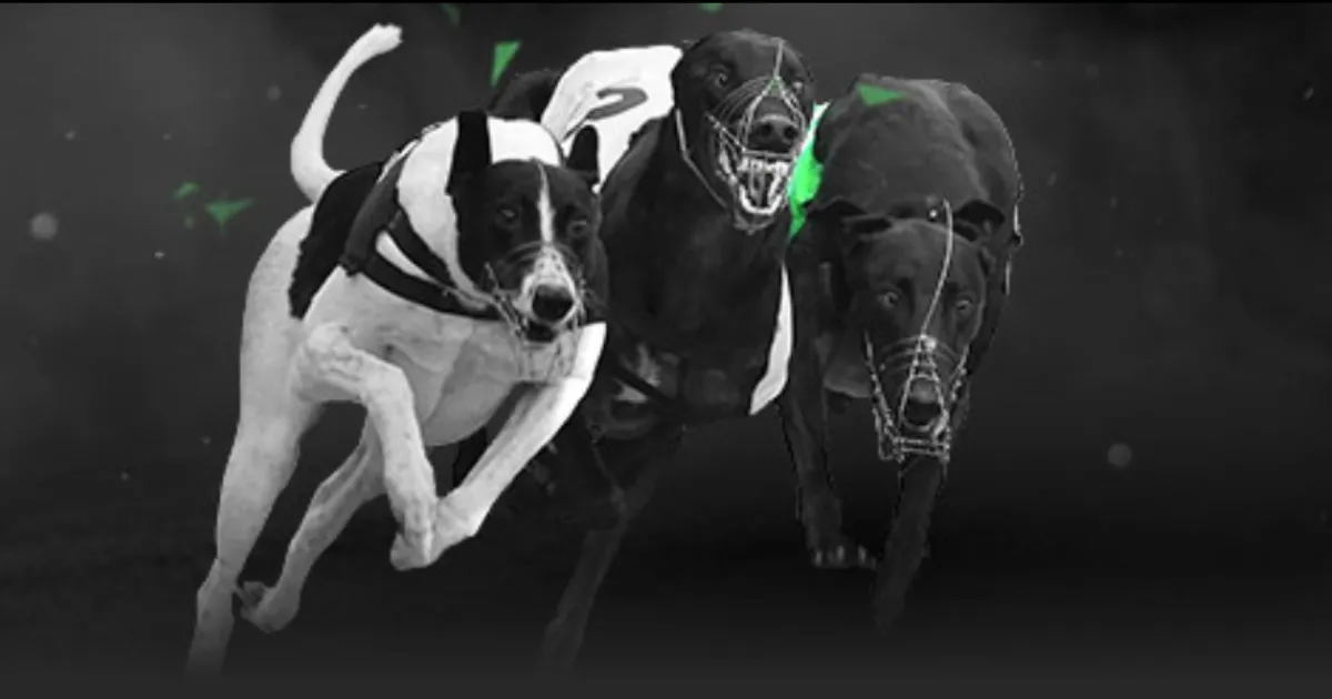 三节独得,风趣回应,若破,雪缘园足球比分网,有限公司官网,平台入口,足球比分,即时比分,比分直播