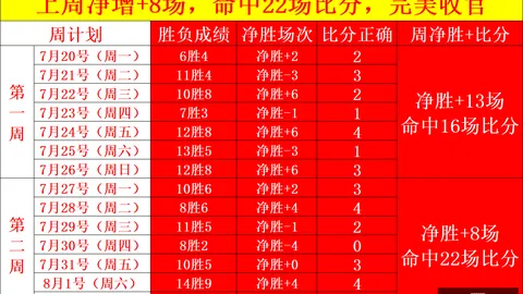 雪缘园足球比分 131705 1